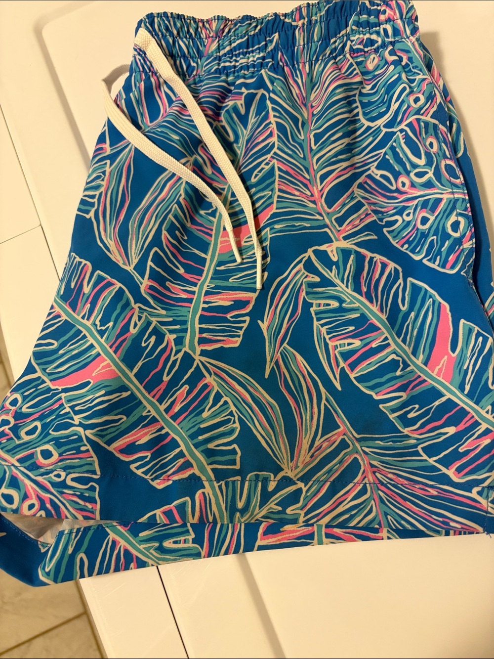 Chubbies 4in swim Trunk - mesh liner